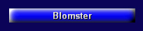 Blomster-link.jpg